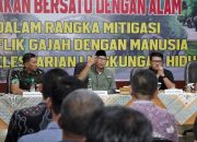Gubernur Lampung Dorong Penanganan Terpadu Konflik Gajah-Manusia di Way Kambas