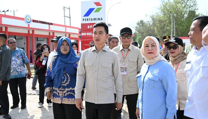 Pastikan Fasilitas Kawasan Nelayan Terintregasi, Wapres Tinjau KNMP Desa Margasari