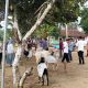 Di Halaman Masjid Al Ittihad Bandar Abung Lampura, 12 Hewan Qurban Jadi Jembatan Cinta untuk yang Sudah Tiada