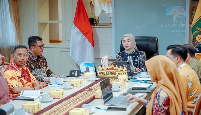 Pimpin Rakor TP2TBC, Wagub Jihan Desak Pesawaran Perkuat Penanggulangan TBC