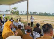 Lampung Dorong Investasi Energi Hijau, Proyek Bioetanol Siap Dikembangkan