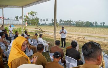 Lampung Dorong Investasi Energi Hijau, Proyek Bioetanol Siap Dikembangkan