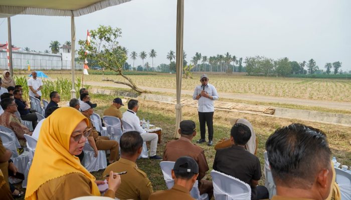 Lampung Dorong Investasi Energi Hijau, Proyek Bioetanol Siap Dikembangkan