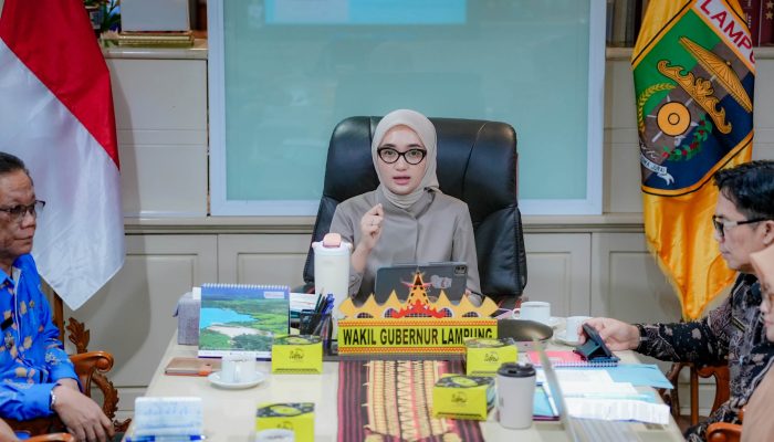 Wagub Jihan Nurlela Pimpin Rakor Percepatan Penanggulangan TBC di Lampung Timur, Perkuat Target Eliminasi 2030