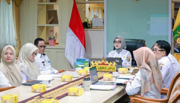 Wagub Jihan Pimpin Rakor Percepatan Penanggulangan TBC di Lampung Selatan, Dukung Target Eliminasi 2030