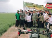 Pemprov Lampung Perkuat Dukungan untuk Petani, dari Teknologi hingga Pengendalian Hama