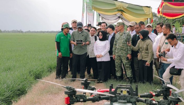 Pemprov Lampung Perkuat Dukungan untuk Petani, dari Teknologi hingga Pengendalian Hama