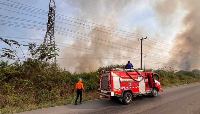 Kurang dari Dua Jam, Gerak Cepat PLN Amankan Kelistrikan Lampung Pasca Kebakaran Lahan