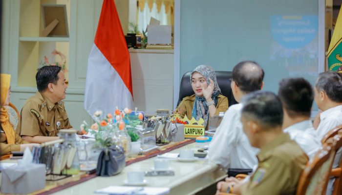 Wagub Jihan Nurlela Pimpin Rapat Program Kelas Migran Vokasi, Bahas Peluang Pengembangan Kerja Sama ke Korea Selatan