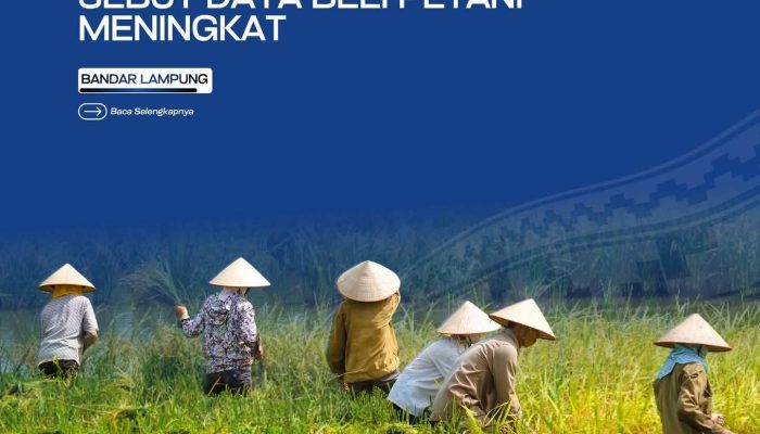 NTP Lampung Naik Jadi 129, 90 Pada Juni 2026 Pemprov Sebut Daya Beli Petani Meningkat