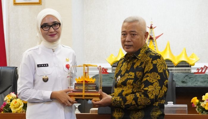 Didukung Infrastruktur Lengkap, Lampung Mantapkan Daya Tarik Investasi dan Hilirisasi