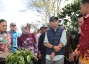 Gubernur Mirza Serap Aspirasi Petani Sukau Lampung Barat, Siapkan Dukungan PHC hingga Peralatan Pascapanen