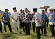 Sinergi Pusat dan Daerah Menguat, Dirjen Kemdiktisaintek Tinjau Calon Lokasi SMA Unggul Garuda di Lampung Selatan