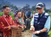 PHC Ubah Wajah Perkebunan Kopi Lampung, Gubernur Mirza Dorong Produktivitas Kopi Meningkat