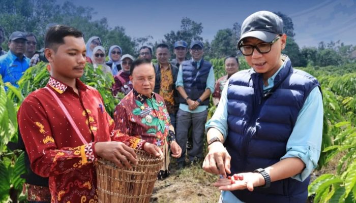 PHC Ubah Wajah Perkebunan Kopi Lampung, Gubernur Mirza Dorong Produktivitas Kopi Meningkat
