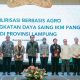 Wamenperin Dukung Lampung Jadi Klaster Industri Pangan Nasional Berbasis Hilirisasi Agro