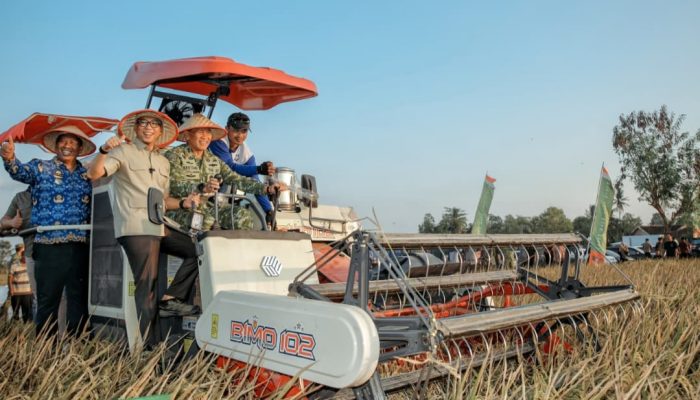 Gubernur Lampung dan Pangdam XXI/Radin Inten Ikuti Panen Raya TNI Serentak, Dukung Swasembada Pangan Nasional
