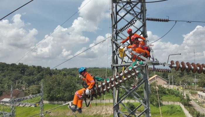 Kinerja PLN Jaga Denyut Listrik Lampung, Pemeliharaan SUTT 150 kV Pagelaran–Kota Agung Perkuat Keandalan Pasokan