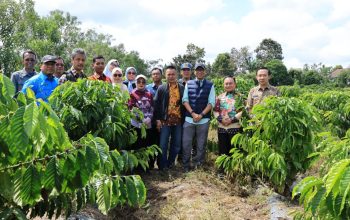 Gubernur Mirza Serap Aspirasi Petani Sukau Lampung Barat, Siapkan Dukungan PHC hingga Peralatan Pascapanen