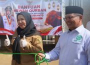 Wali Kota Eva Serahkan Sapi Kurban Presiden RI Kepada Masyarakat Kota Bandar Lampung
