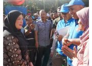 Wali Kota Bandar Lampung Eva Dwiana Menghadiri Acara Penyembelihan Hewan Qurban TDV Turki