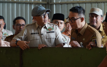 Gubernur Mirza Dorong Kemandirian Petani Lewat Produktivitas dan Hilirisasi