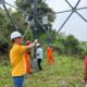 Jelang Hari Sumpah Pemuda, PLN UPT Tanjung Karang Perkuat Keandalan Listrik melalui Care for Asset